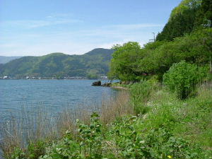 新緑と琵琶湖